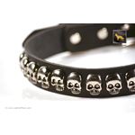 Skulls Black Leather Collar