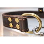 Flex Adjustable Martingale Collar