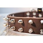 Spiked Brown Leather Collar