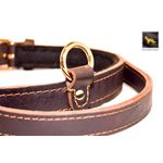 Monster II Leather Collar