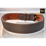 Horizon Leather Collar