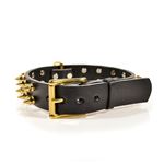 Gladiator Spiked Leather Collar