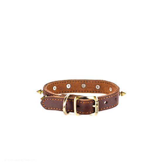 Red Oak Gladiator Leather Collar