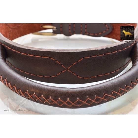 Monster Leather Collar