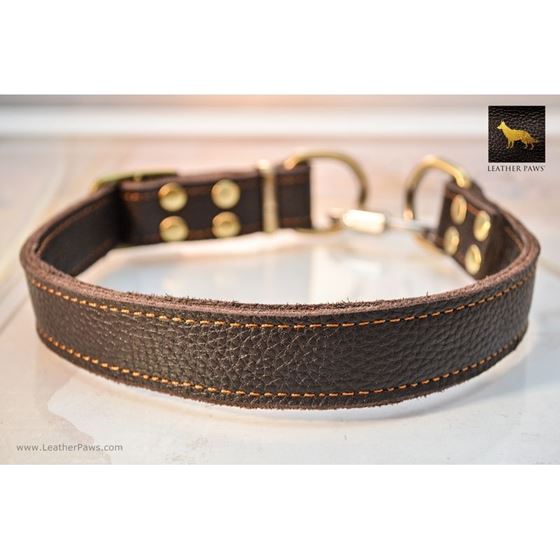 Flex Adjustable Martingale Collar