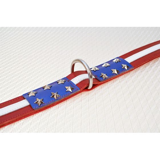 LPNY USA Pride Leather Dog Collar