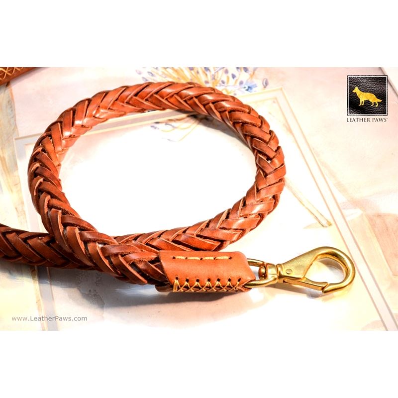 LPNY Leather Paws New York Statement Braided Leather Dog Leash or Lead ...