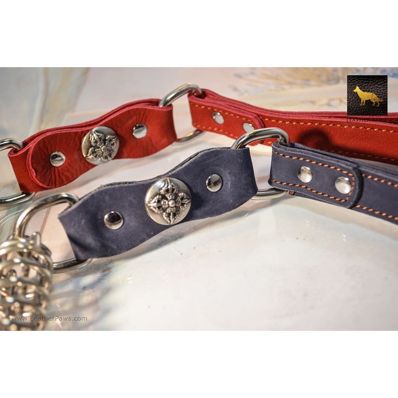 Warrior Short Leather Leash