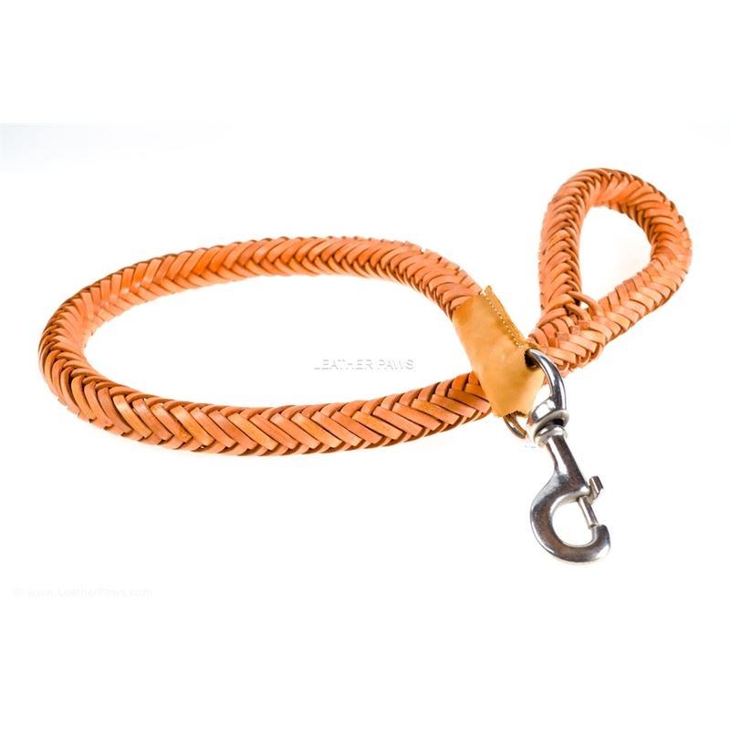 Monster Braid Leather Leash front